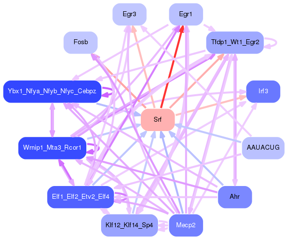 PNG image of the network