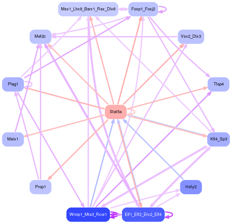 PNG image of the network