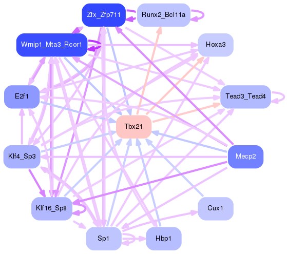PNG image of the network