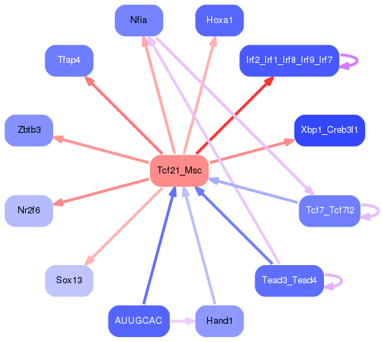 PNG image of the network