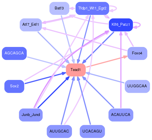 PNG image of the network
