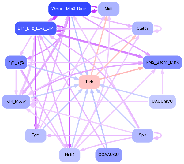 PNG image of the network