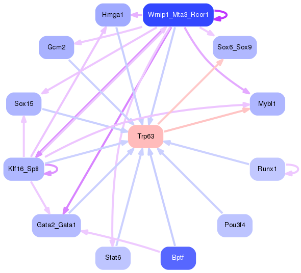 PNG image of the network