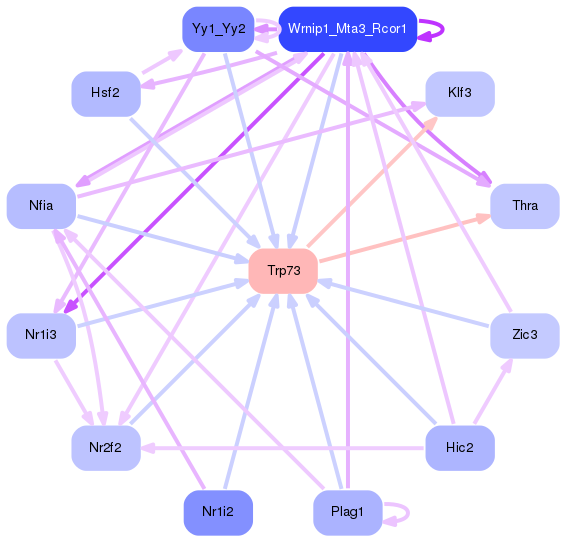PNG image of the network
