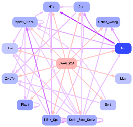 PNG image of the network