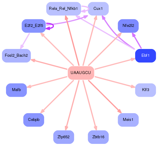PNG image of the network