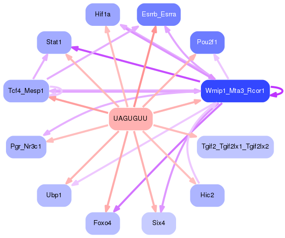 PNG image of the network