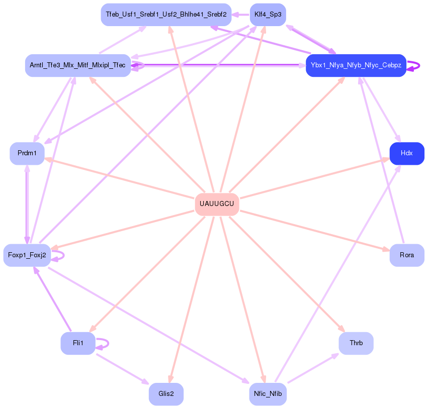 PNG image of the network