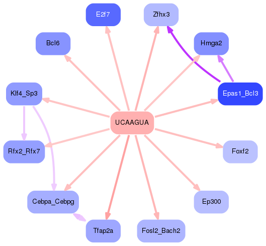 PNG image of the network