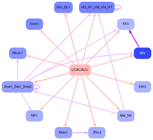 PNG image of the network