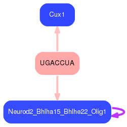 PNG image of the network