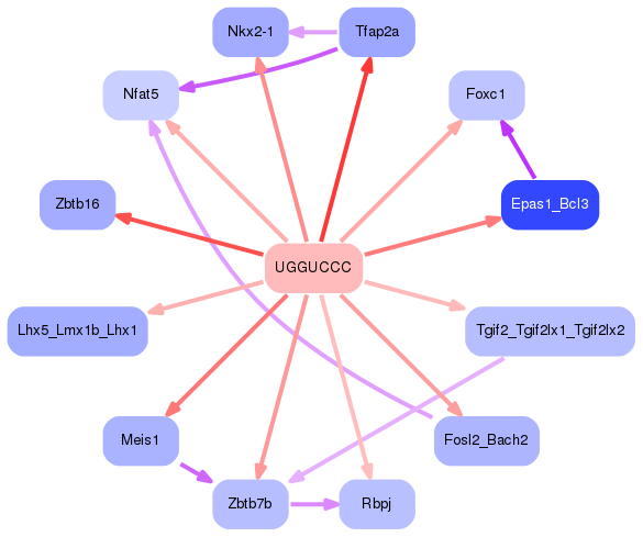 PNG image of the network