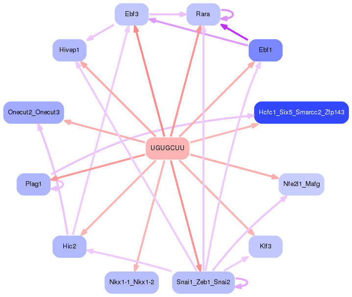PNG image of the network
