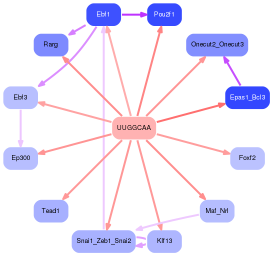 PNG image of the network