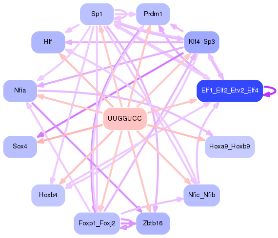 PNG image of the network