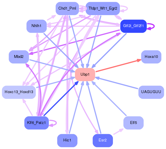 PNG image of the network