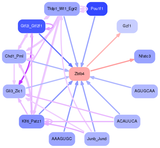 PNG image of the network