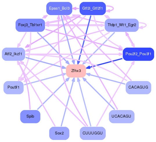 PNG image of the network