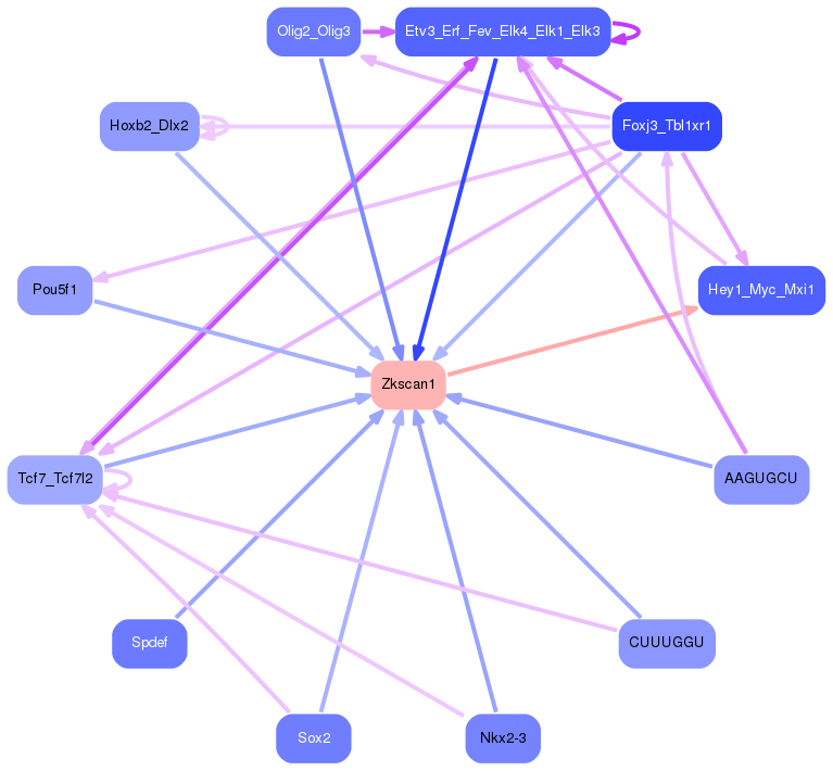 PNG image of the network