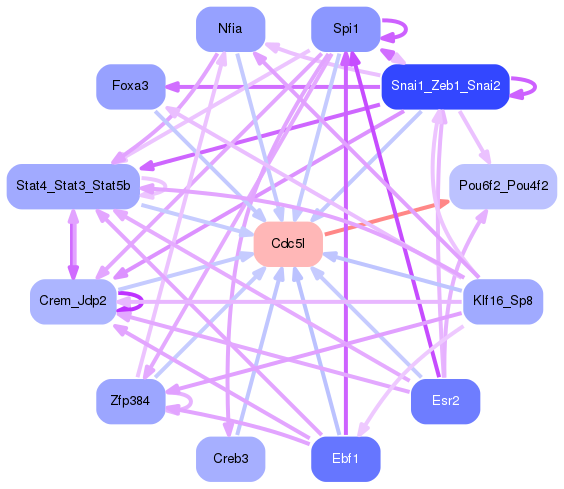 PNG image of the network
