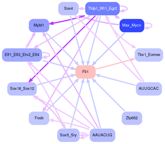PNG image of the network