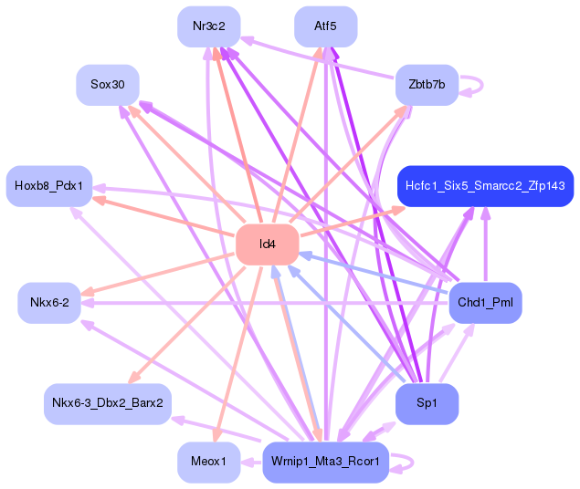 PNG image of the network