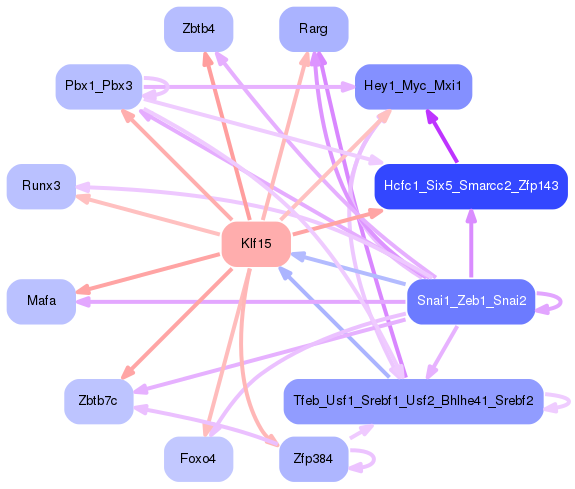 PNG image of the network