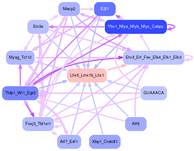 PNG image of the network