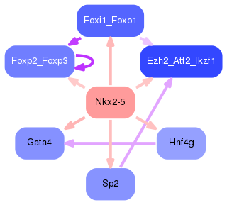 PNG image of the network