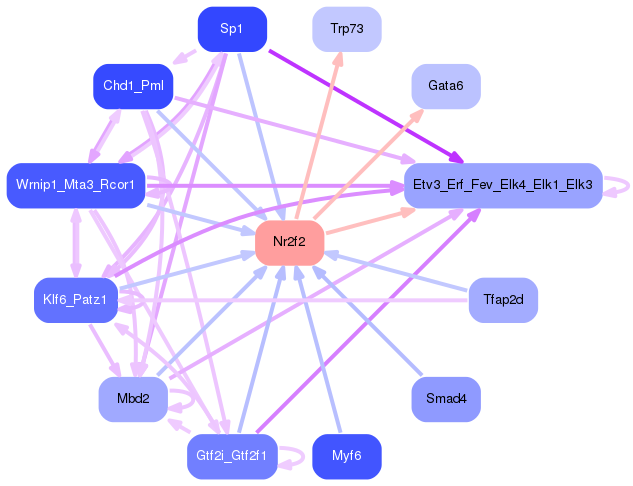PNG image of the network