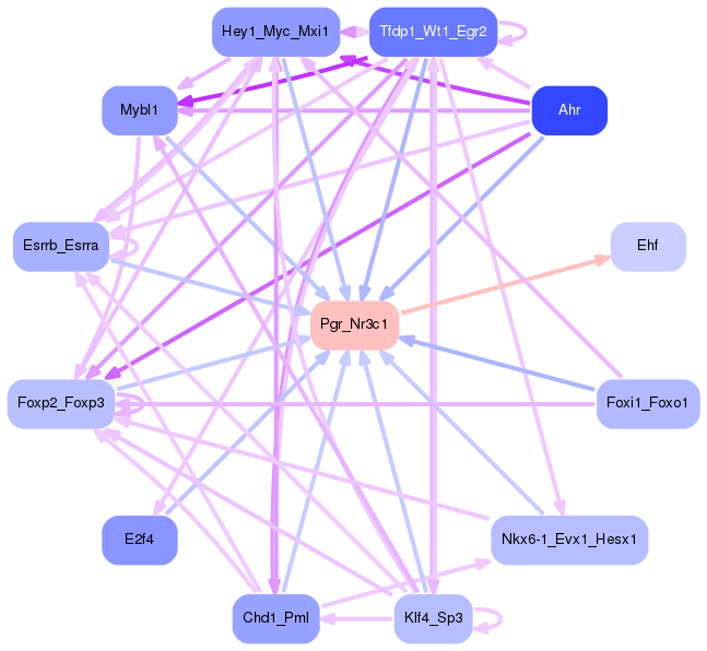 PNG image of the network