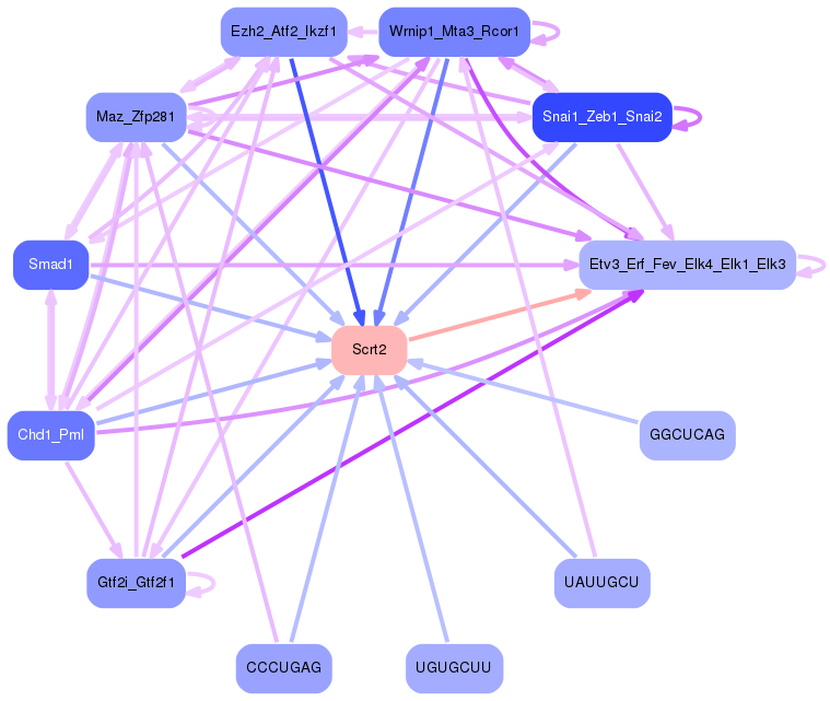 PNG image of the network