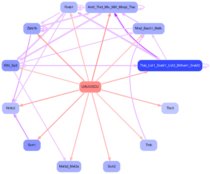 PNG image of the network