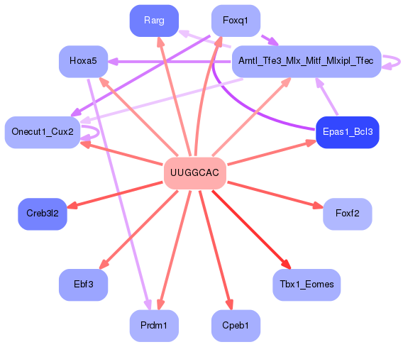 PNG image of the network
