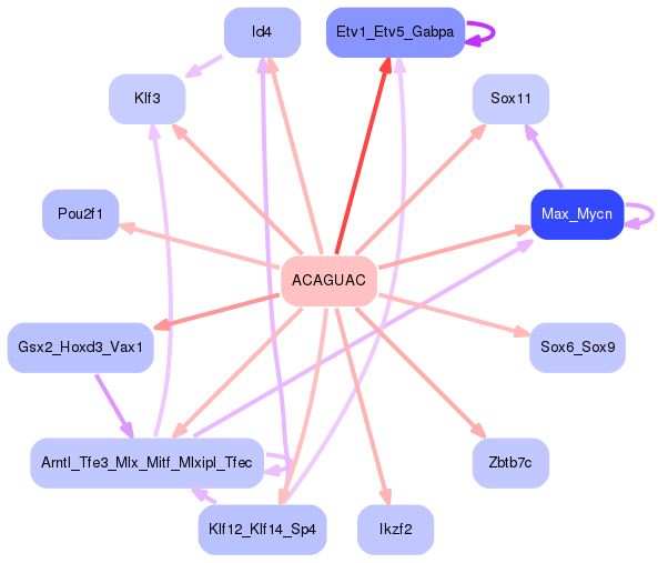 PNG image of the network