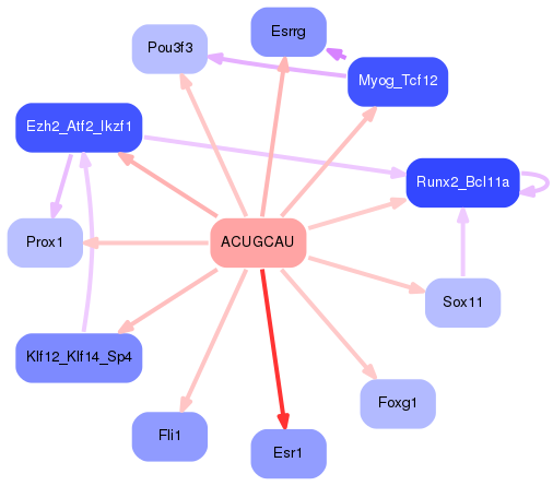 PNG image of the network