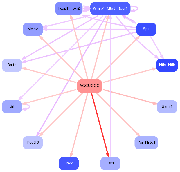 PNG image of the network