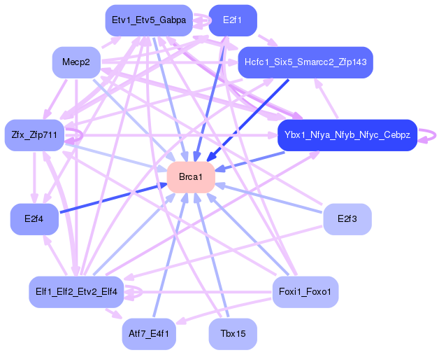 PNG image of the network