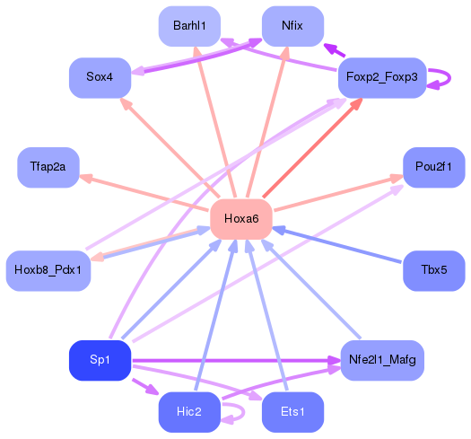PNG image of the network