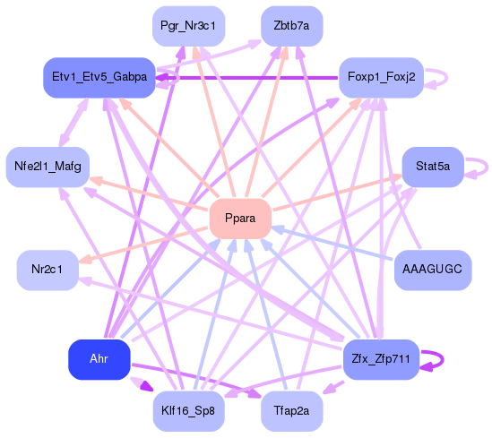 PNG image of the network