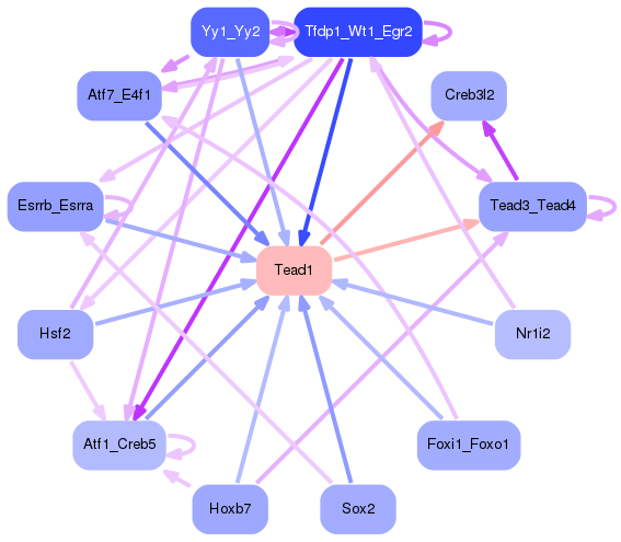 PNG image of the network