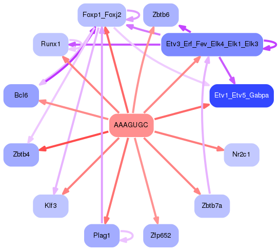 PNG image of the network