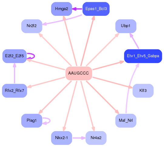PNG image of the network