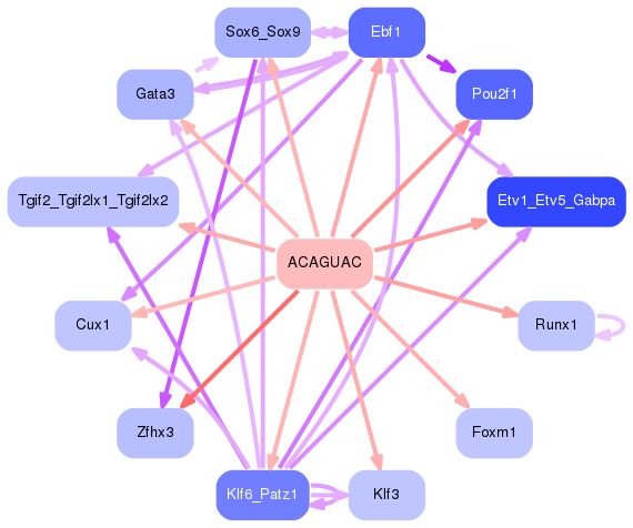 PNG image of the network