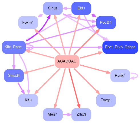 PNG image of the network