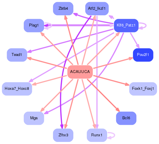 PNG image of the network