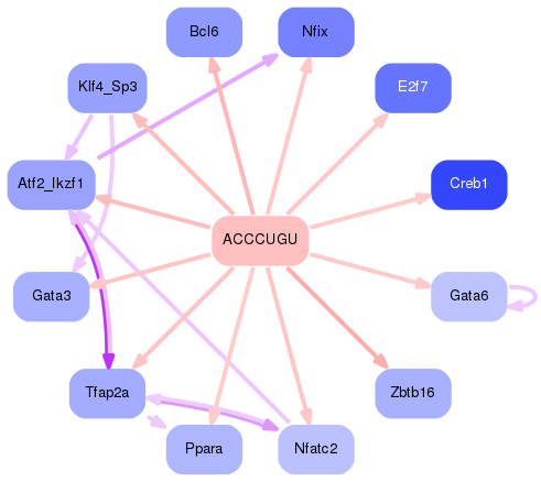 PNG image of the network