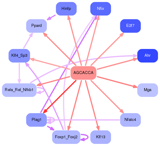 PNG image of the network