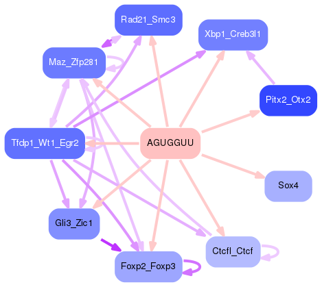 PNG image of the network