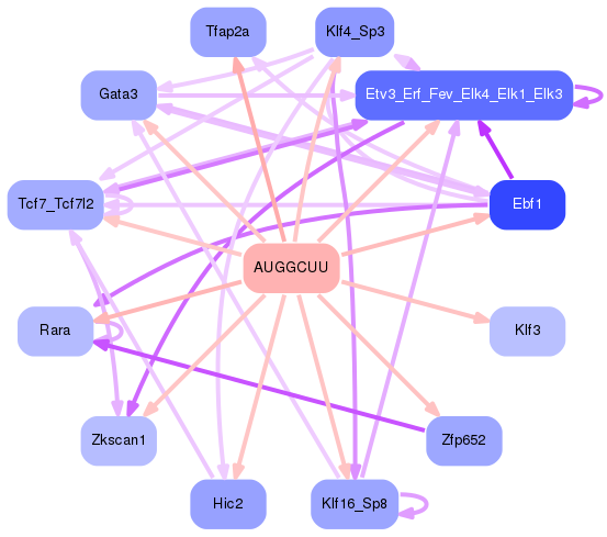 PNG image of the network